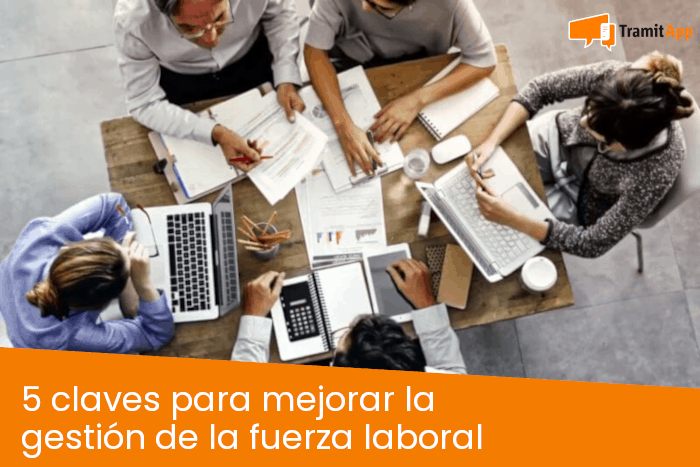 gestion de la fuerza laboral como optimizar la productividad del equipo